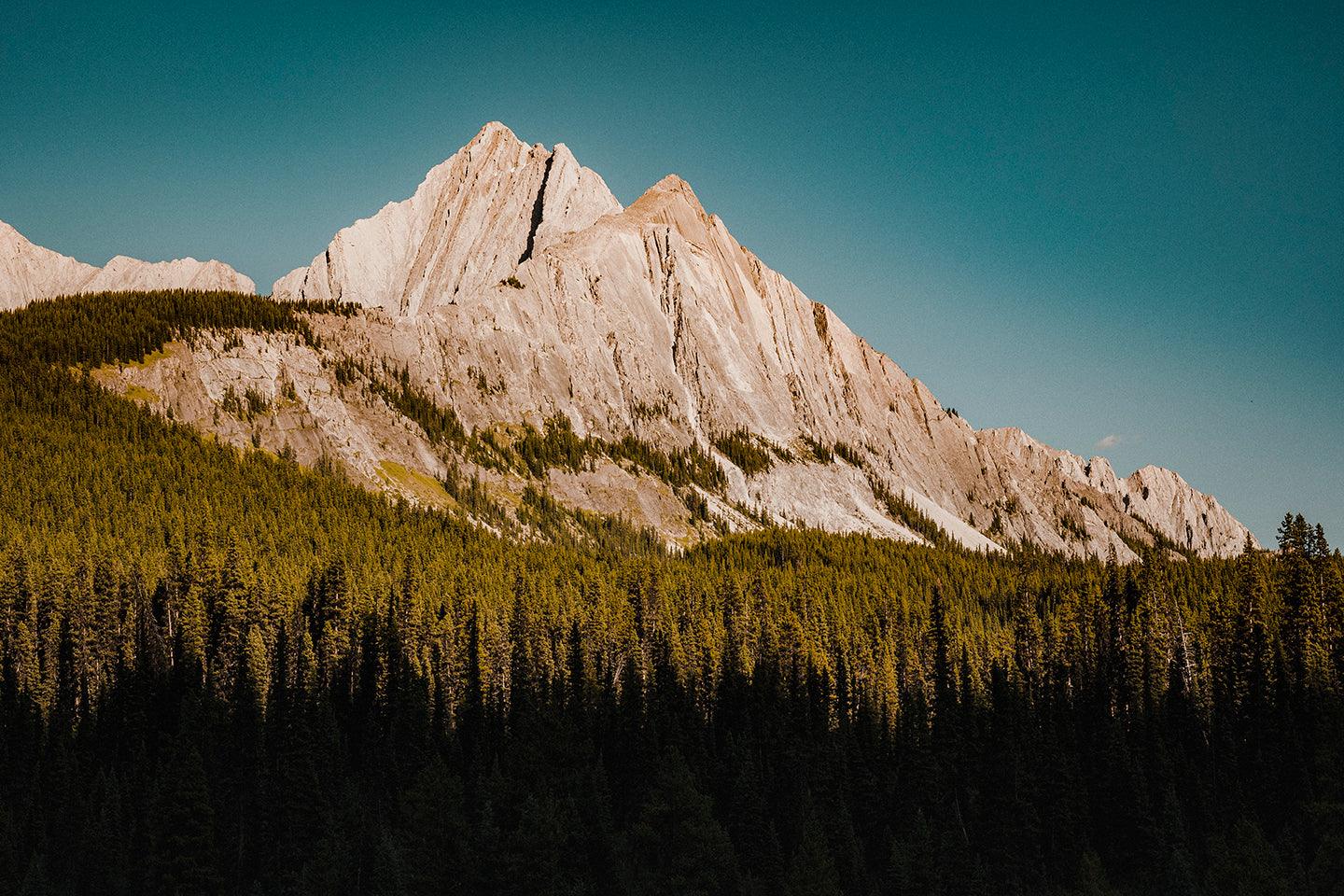 Sawback Range, Banff National Park - Walloy