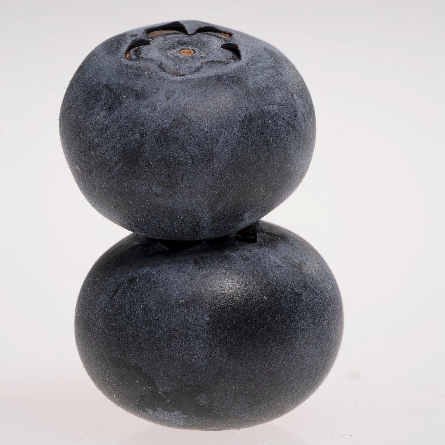The Blueberry Stack - Walloy