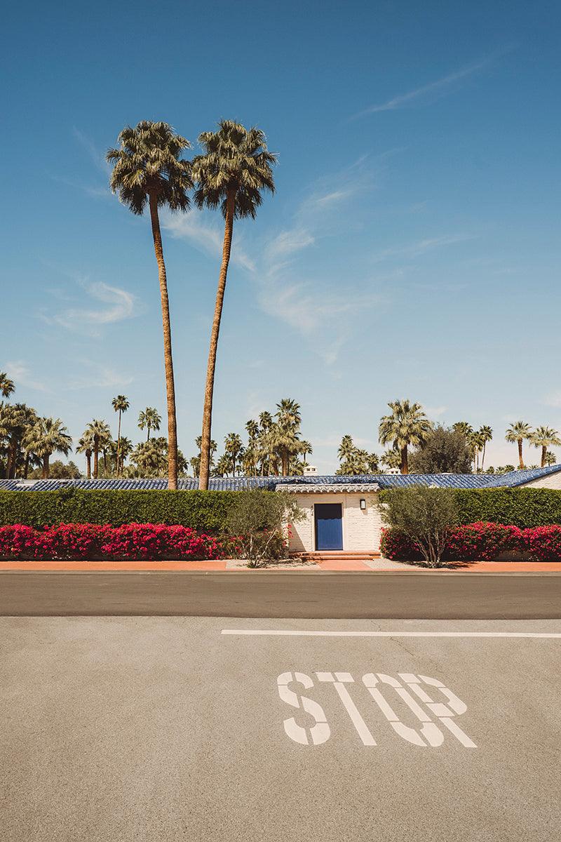 Stop for Palm Trees, Palm Springs - Walloy