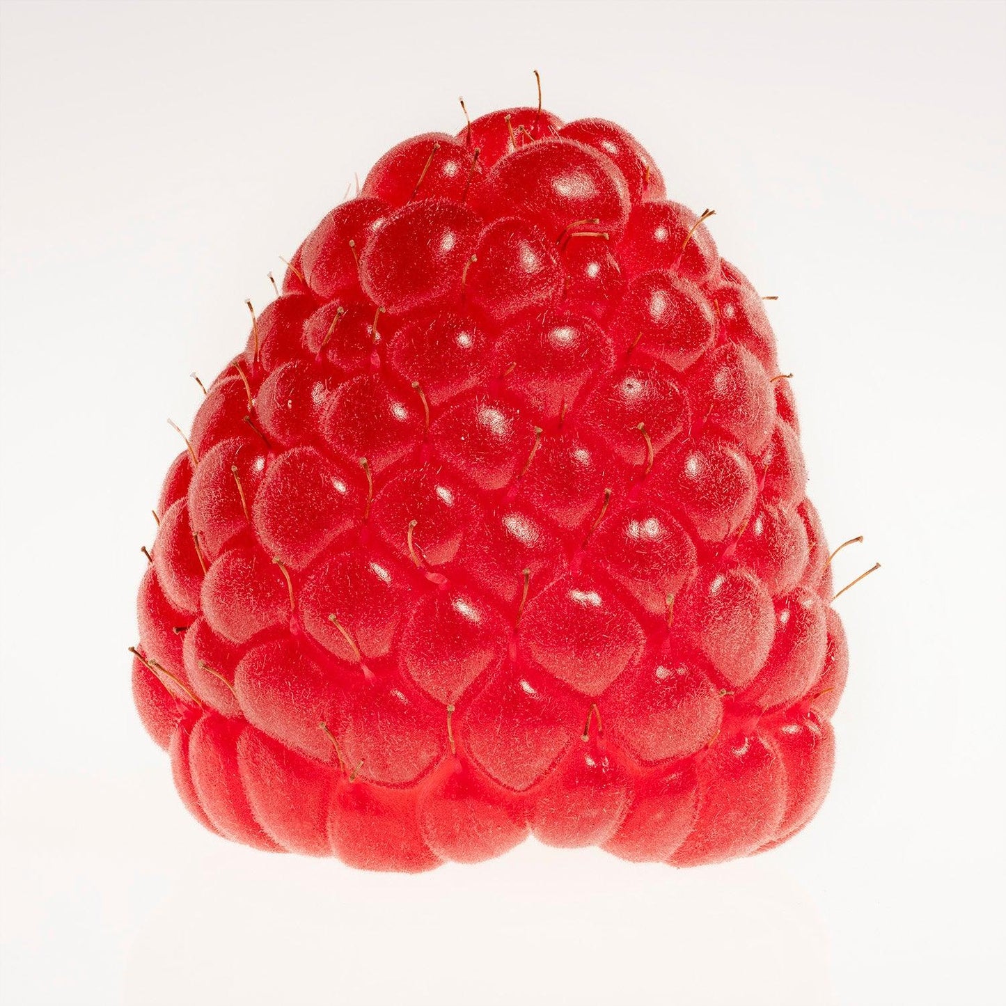 The Iconic Raspberry - Walloy