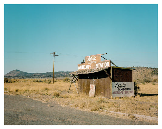 Artistic Taxidermy, Oregon Highway 20