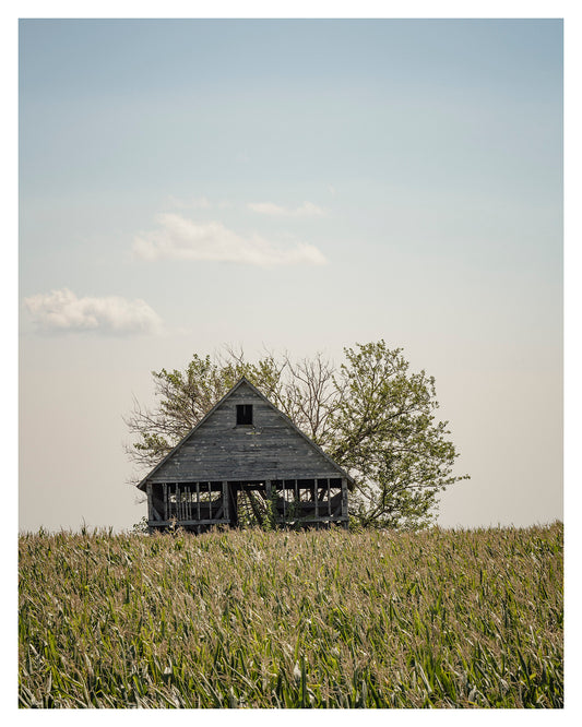 Old House and Tree, Iowa