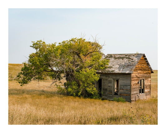 Old House and Tree, Nebraska Highway 20