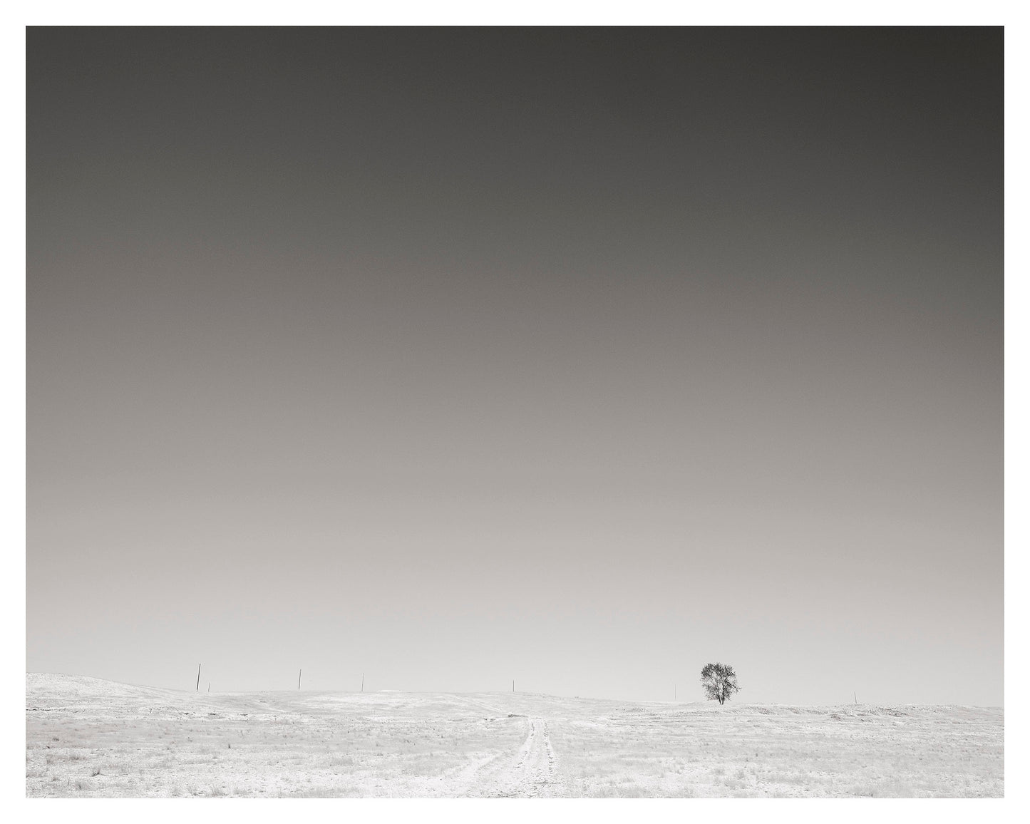 Lone Tree, Wyoming Highway 20