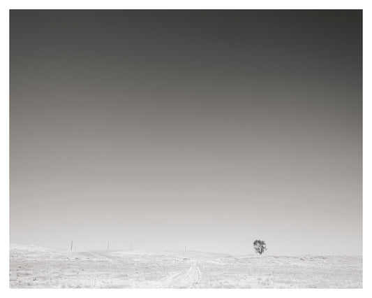 Lone Tree, Wyoming Highway 20