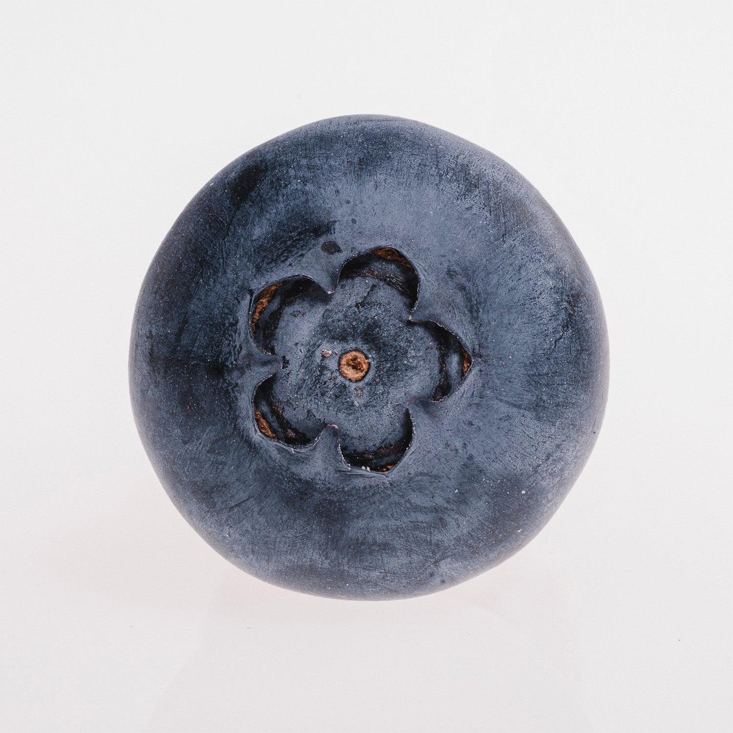 The Juicy Blueberry No. 1 - Walloy