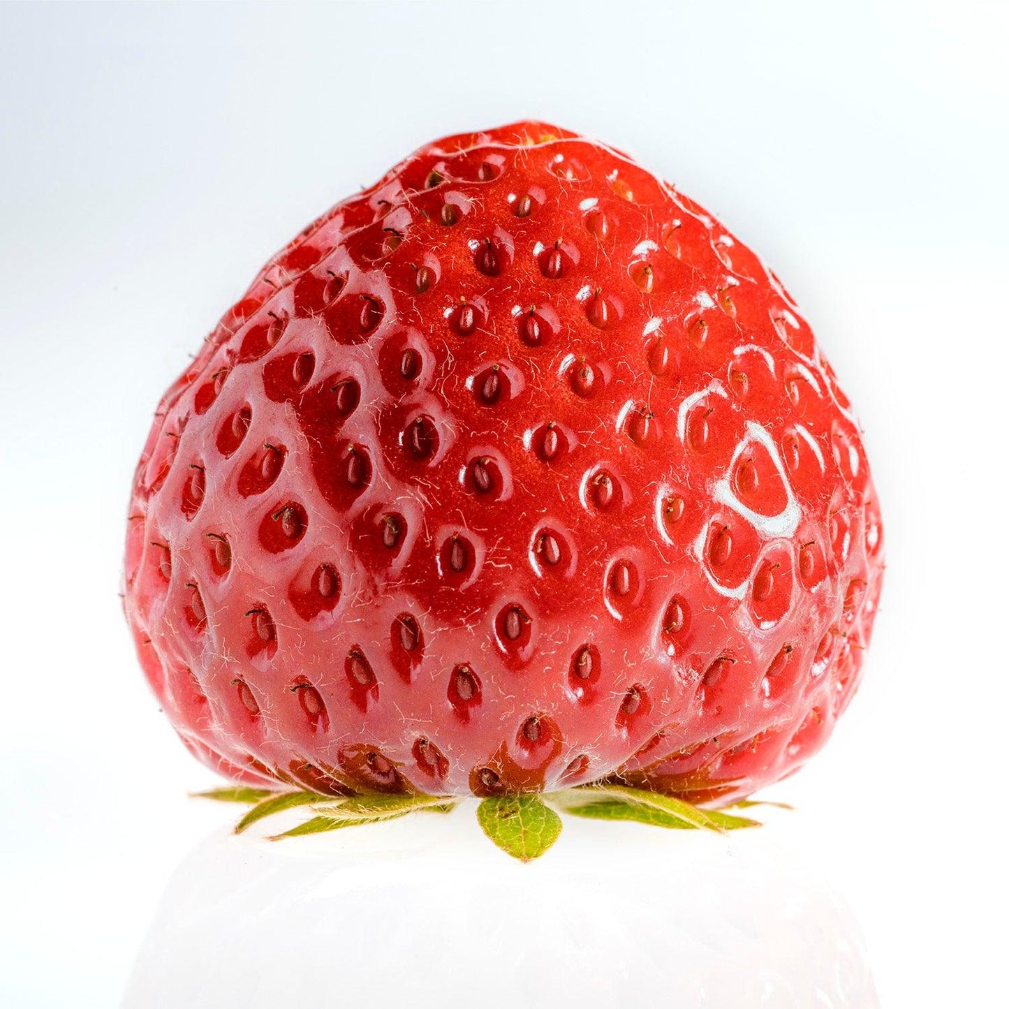 The Strawberry Study No. 1 - Walloy