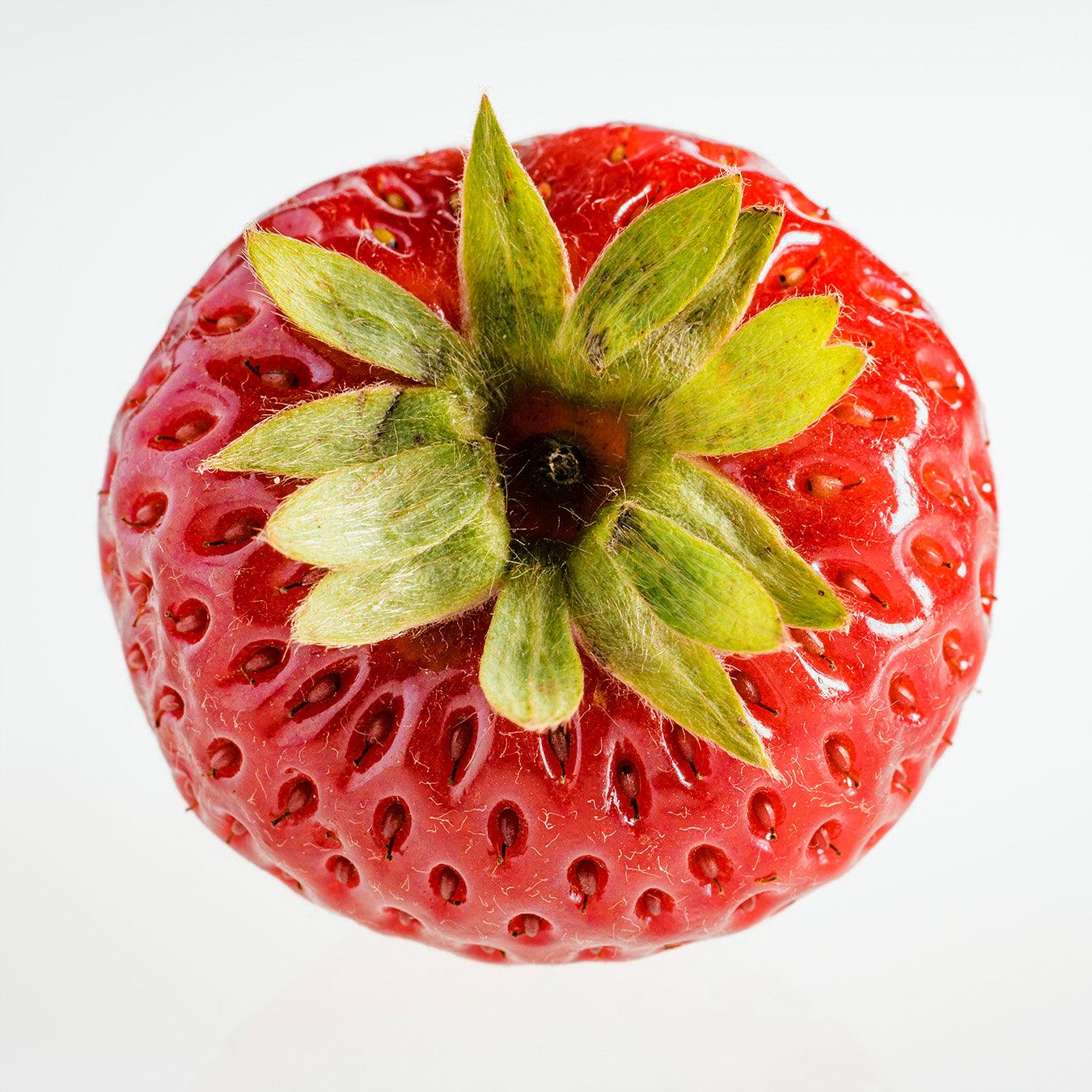 The Strawberry Study No. 2 - Walloy