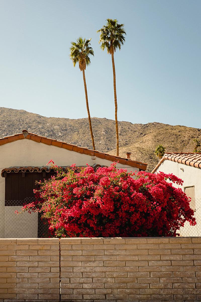 Two Tall Palms, Palm Springs - Walloy