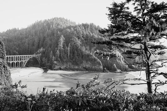 Cape Creek bridge study no. 1 - Walloy