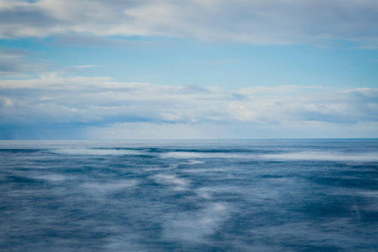 Oregon Seascape - Walloy